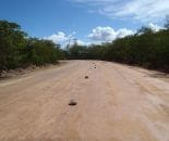 Dust Free Cement Plant Access Road Cost Effective Dust Suppression