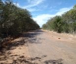 EBS Treated Cement Plant Access Road Environmentally Friendly Dust Control