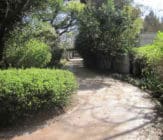 private estate gravel road treated with EBS road improvement technology