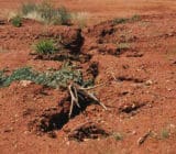 Stockpile water erosion control Stockpile water erosion control