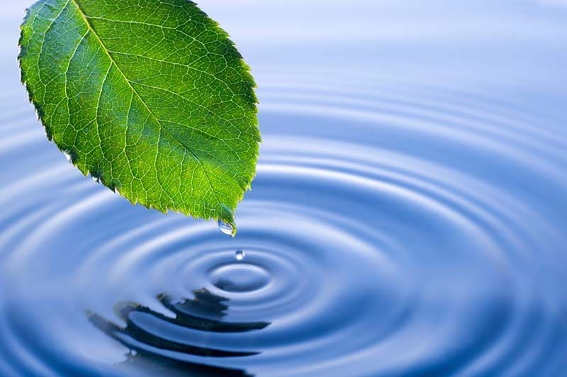 WATER-WITH-LEAF- Soil Solutions Provides Water Reduction