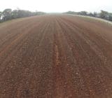 Tulawaka airstrip before EBS Surface Seal Tulawaka airstrip upgrade