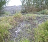 EBS Treated Mine Tailings dust abatement for mine tailings