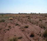 Stockpile Dust Abatement Stockpile Dust Abatement