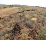 Erosion prevention on slopes Erosion prevention on slopes
