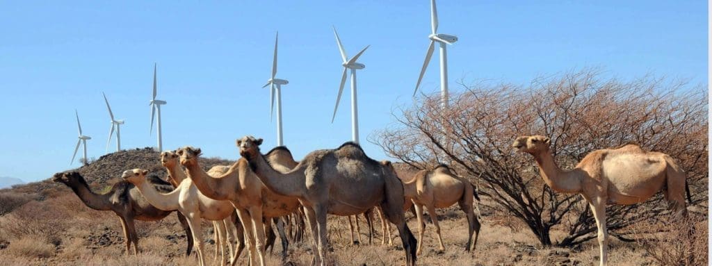 Soil Solutions: Lake Turkana Wind Power Project - Kenya Update