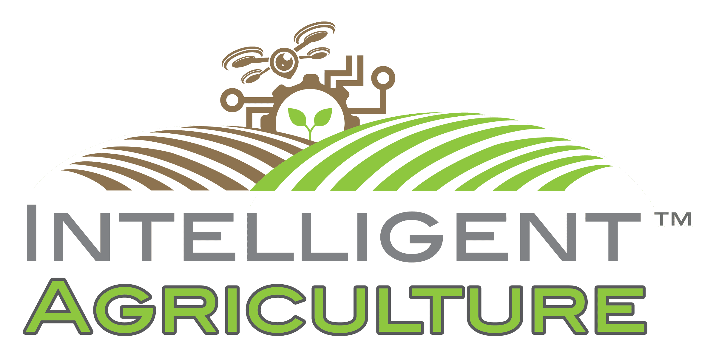 Intelligent Architecture logo big box Intelligent Architecture logo big box